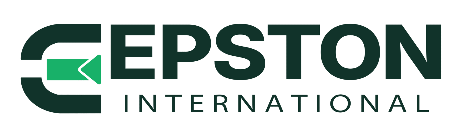 epstoninternational.com