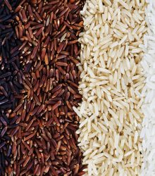 Closeup of mixed rice